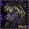 halley blinkie halley blinkie